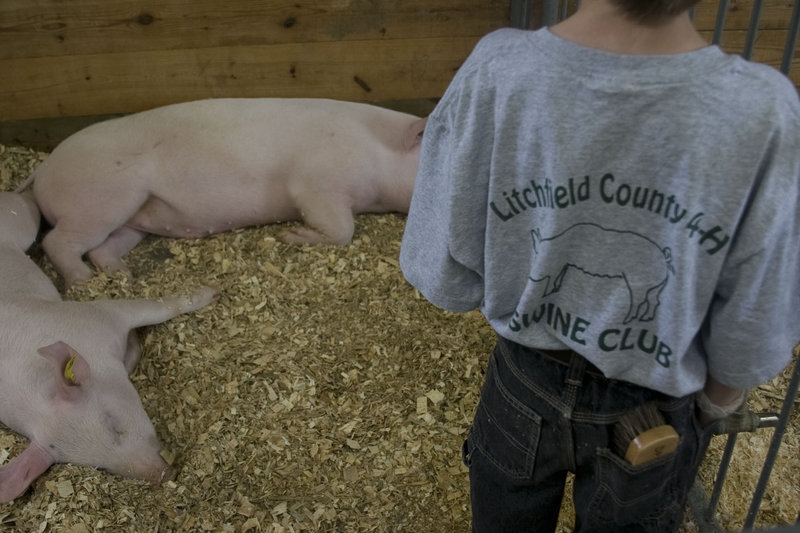 4 H Fair