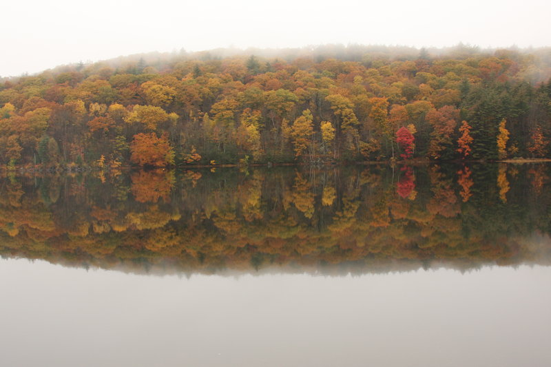 Reflections