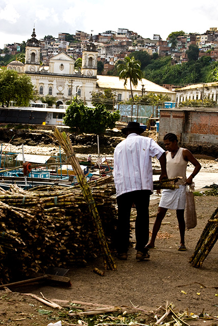Sugarcane Seller