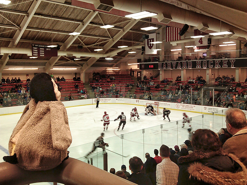 Lost at Harvard hockey game (vs Brown)