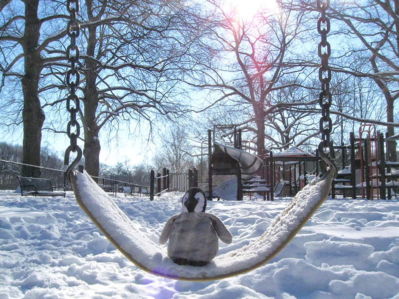 Lost swinging at Larz Anderson