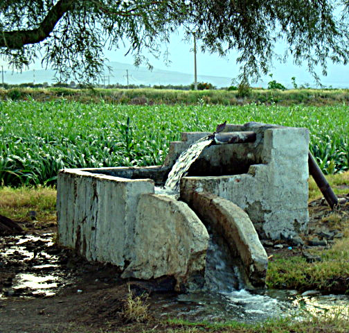 Water Station