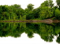 Quarry Park trees and water