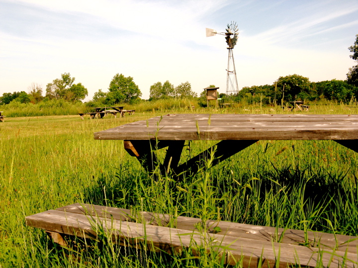 Ohio State University at Marion prairie