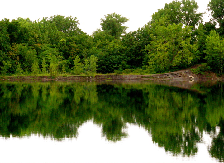 Quarry Park trees and water