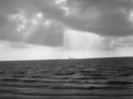 scenes-10.jpg