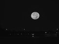 moon set 040.JPG