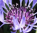 100_0348.JPG