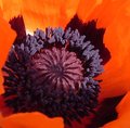 DSCF1097.JPG