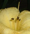 DSCF1511.JPG