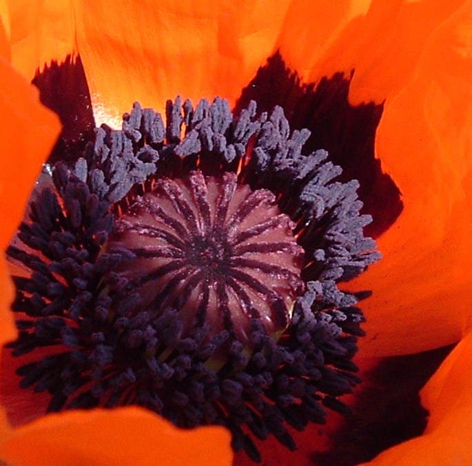 DSCF1097.JPG