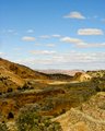 IMG_2712-1-2.jpg