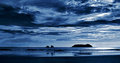Costa Rican Beach 2008