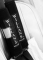 Williams Seatbelts.jpg