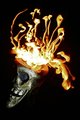 Hot Head