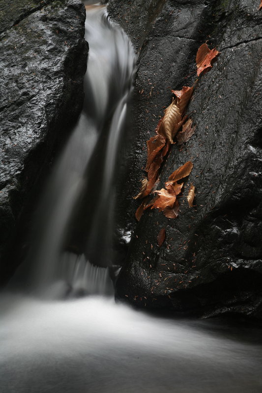 Fall stream