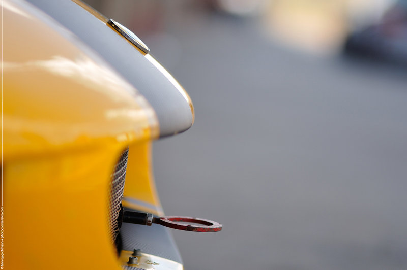 Lotus Bonnet Shallow DOF