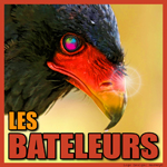 Les Bateleurs v6 -Red  150x150px96dpi