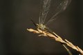 DSC02084.jpg