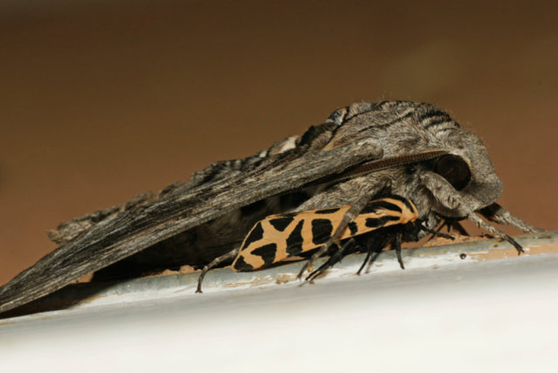 DSC01991_edited-1.jpg