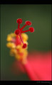 Reaching up