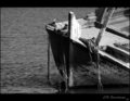 Stranded