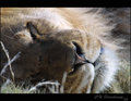 Sleeping Danger