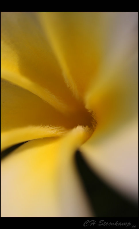 Swirl