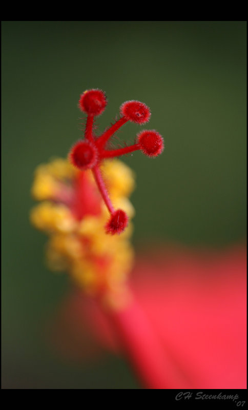 Reaching up