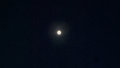 Venus 06/29/18