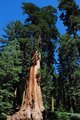 DSC_0239.jpg