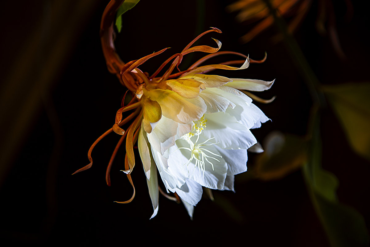 DSC_0327_s