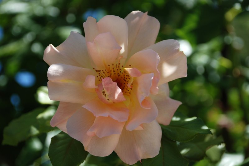 DSC_0153.jpg