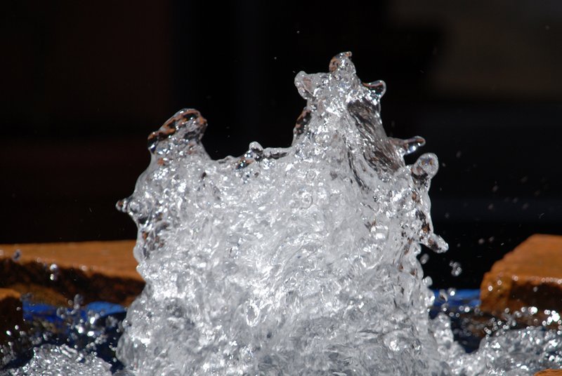 DSC_0164.jpg