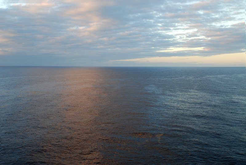 DSC_0119.jpg