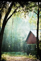 Foggy morning barn