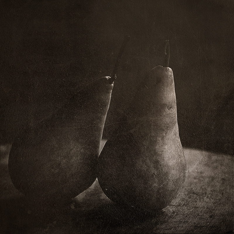 pear buddies textured