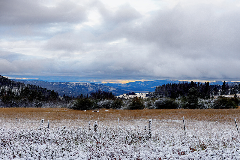 Camping-on-the-Continental-Divide