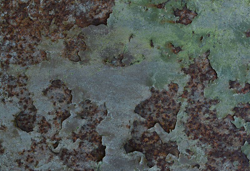 DSC_5137-texture