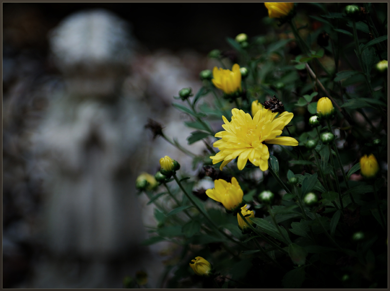 DSC_2727-Angel-in-the-Garden