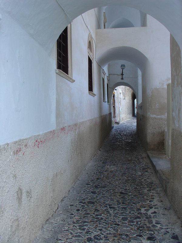 DSC02153.jpg