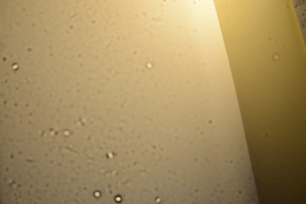 dust