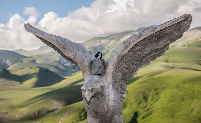 eagle