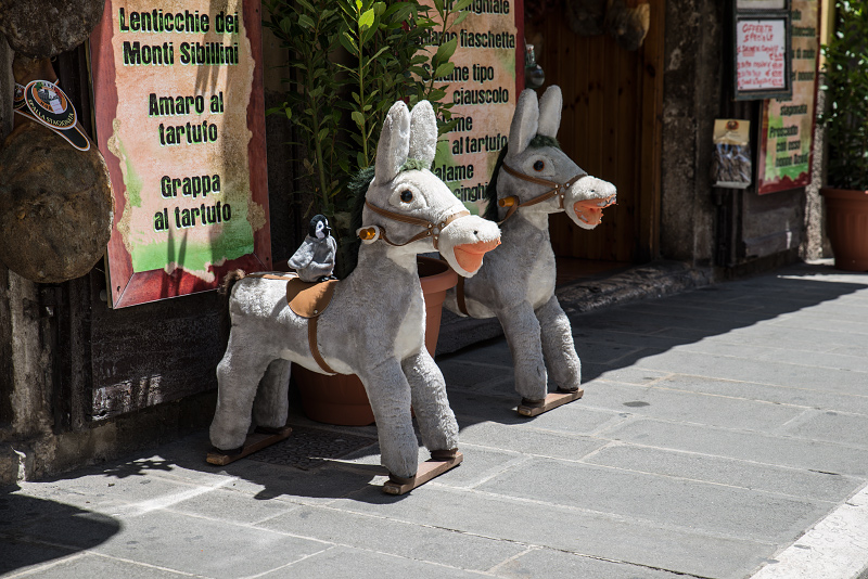 norcia-market-2