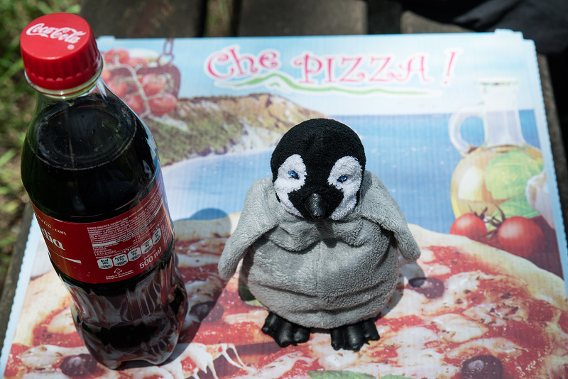 pizza-and-coca-cola