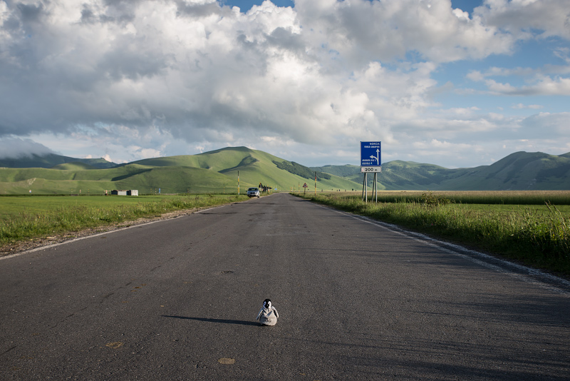 road