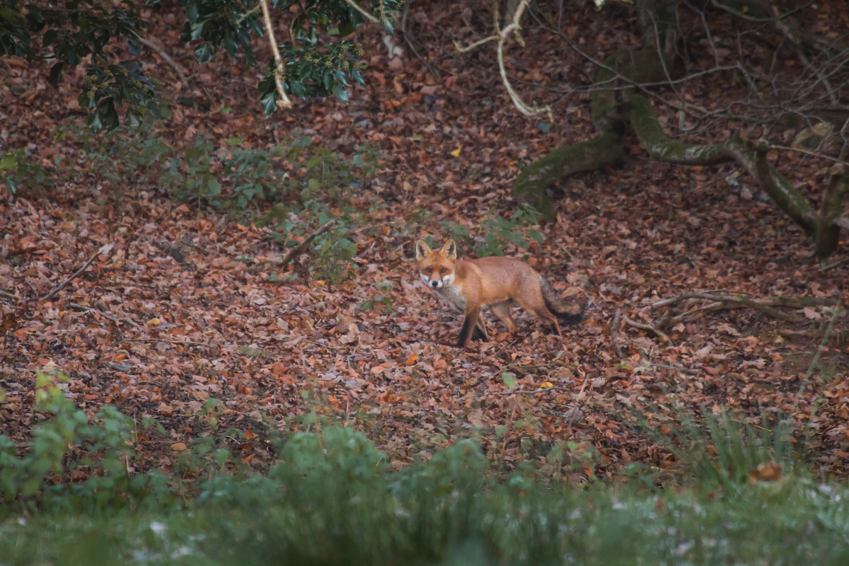 IMG_9986_paul-Rid