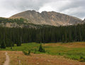 mountain2_edited-1.jpg