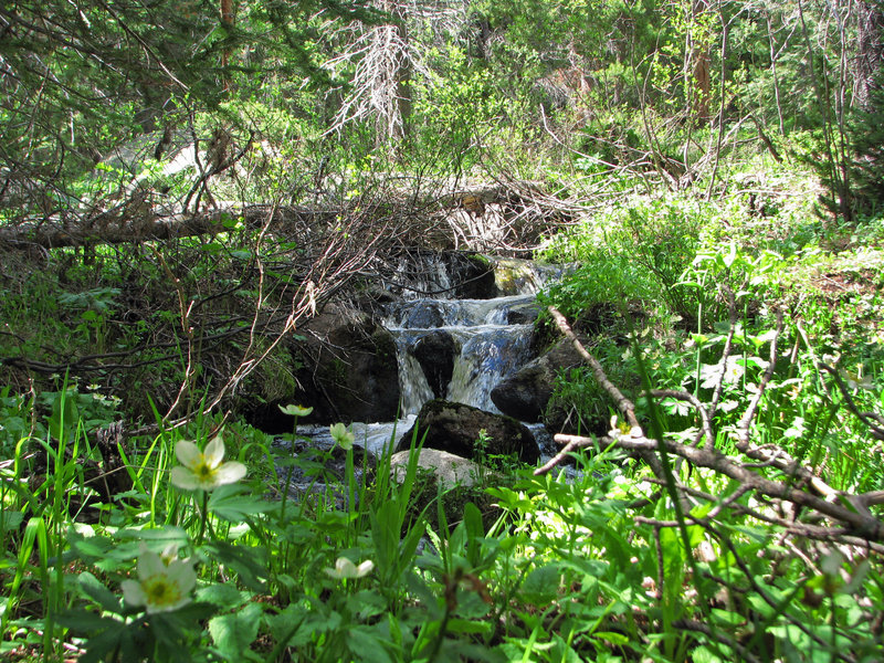 Waterfall 