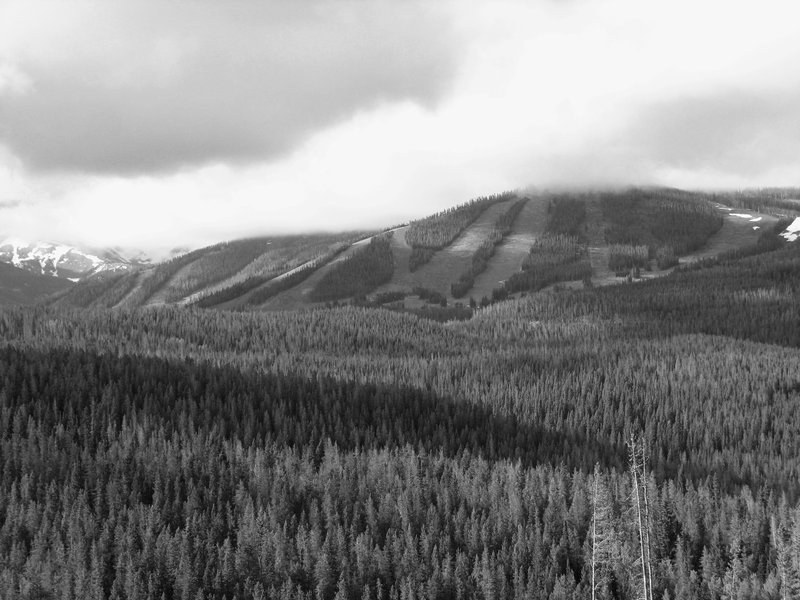 Winter Park in Summer.jpg